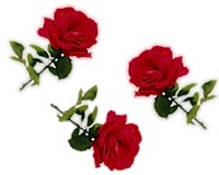 Roses for wedding page